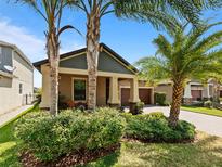 Charming single-Gathering home with a two-car garage, well-manicured lawn, and tropical palm trees at 10017 Victory Gallop Loop, Ruskin, FL 33573