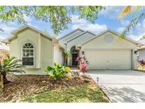 Beautiful single-story home with lush landscaping and a well-manicured lawn at 1419 Trail Boss Ln, Brandon, FL 33511