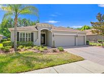 Charming single-story home featuring a three-car garage and beautifully landscaped front yard with a majestic palm tree at 3321 Mapleridge Dr, Lutz, FL 33558