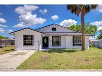 Charming home exterior with new front door, landscaping and a large palm tree at 911 Kirkcaldy Way, Valrico, FL 33594