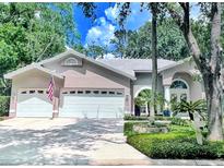 Charming single-story home with a well-manicured lawn, attached two-car garage and beautiful curb appeal at 9322 Wellington Park Cir, Tampa, FL 33647