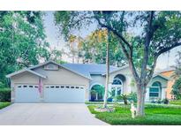 Charming single-story home featuring a well-manicured lawn, mature trees, and a three-car garage at 9322 Wellington Park Cir, Tampa, FL 33647