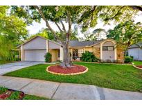 Charming single-story home featuring a well-manicured lawn and a mature shade tree enhancing curb appeal at 12024 Stone Crossing Cir, Tampa, FL 33635