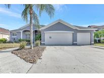 Charming home featuring a three-car garage, well-manicured landscaping, and a freshly painted exterior at 2863 Duncan Tree Cir, Valrico, FL 33594