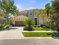 Stunning two-story home with a well-manicured lawn, mature trees, and a two-car garage on a sunny day at 14209 Quintessa Ln, Lithia, FL 33547