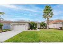 Charming single-story home with a lush green lawn and mature landscaping at 27130 Firebush Dr, Wesley Chapel, FL 33544