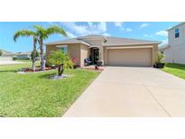 Charming single-Gathering home with a well-manicured lawn and a two-car garage at 7019 Wiseman Run Dr, Sun City Center, FL 33573