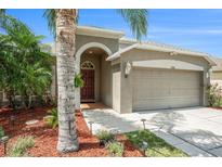 Charming single-story home with a well-manicured lawn, mature palm trees, and a welcoming entrance at 3219 Gianna Way, Land O Lakes, FL 34638