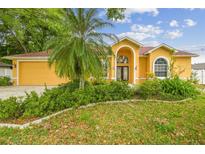Charming yellow home with a well-manicured lawn, lush landscaping and double door entry at 23211 Lucerne Pl, Land O Lakes, FL 34639