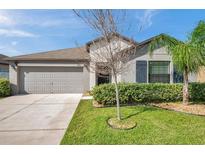 Charming single-story home featuring a well-manicured lawn and an attached two-car garage at 4201 Globe Thistle Dr, Tampa, FL 33619