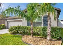 Charming single-story home with lush landscaping and palm trees in the front yard at 4201 Globe Thistle Dr, Tampa, FL 33619