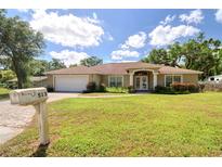 Charming single-story home with a well-manicured lawn and a two-car garage at 513 Tweed Ave, Seffner, FL 33584