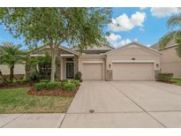Charming single Gathering home featuring a well-manicured lawn and a spacious two car garage at 10734 Breaking Rocks Dr, Tampa, FL 33647