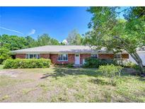 Charming single-story brick home featuring manicured landscaping and a welcoming front entrance at 13329 N Armenia Ave, Tampa, FL 33613