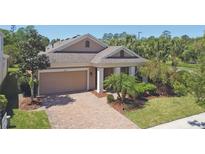 Charming single-story home featuring a brick driveway, manicured lawn, and inviting covered entrance at 3822 Balcony Breeze Dr, Land O Lakes, FL 34638