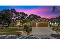 Charming single-Gathering home showcasing a well-manicured lawn and a spacious two-car garage at 4508 Compass Oaks Dr, Valrico, FL 33596