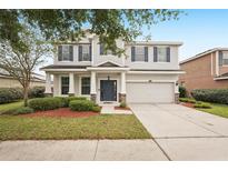 Charming two-story home with a well-manicured lawn, mature tree, and a two-car garage and inviting entrance at 12402 Fairlawn Dr, Riverview, FL 33579
