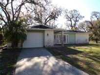Ranch style home with a one car garage and mature landscaping at 4405 Coconut Cove Pl, Valrico, FL 33596