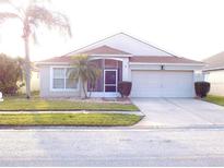 Charming single-story home featuring a screened-in porch and a well-manicured lawn with palm trees at 25417 Lexington Oaks Blvd, Wesley Chapel, FL 33544