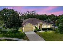 Aerial view of the property showcasing the manicured lawn, landscaping, and neighborhood at 12506 Safari Ln, Riverview, FL 33579