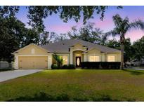 Charming single-story home with a well-manicured lawn, lush landscaping, and a two-car garage at 12506 Safari Ln, Riverview, FL 33579
