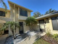Charming townhome with a walkway and a decorative front door, landscaped with small palm trees at 9007 Pebble Creek Dr # 9007, Tampa, FL 33647