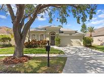 Charming single-story home with a well-manicured lawn and an inviting facade at 10339 Lightner Bridge Dr, Tampa, FL 33626