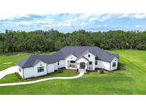 A beautiful white modern farmhouse with dark roof and window frames sits on lush green lawn with mature trees in the background at 111 Alafia Estates Ln, Plant City, FL 33567