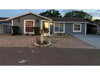 Charming single-story home featuring a neatly paved front yard and well-maintained landscaping at 10106 Wheatley Hills Ct, Tampa, FL 33615