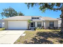 Charming single-story home featuring a two-car garage, well-maintained landscaping, and a welcoming entrance at 12121 Wildbrook Dr, Riverview, FL 33569