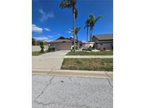 Charming single-story home with a well-maintained lawn and palm trees in a sunny neighborhood at 10825 Venice Cir, Tampa, FL 33635