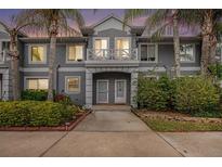 Gray two-story condo with palm trees and manicured landscaping against a colorful sunset sky at 18111 Paradise Point Dr, Tampa, FL 33647
