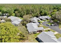 An aerial view shows the community's serene environment with mature trees at 4851 Leyte Ct, New Port Richey, FL 34655