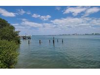 Beautiful waterfront view from the property, featuring a boat dock and tranquil waters at 600 Boca Ciega Isle Dr, St Pete Beach, FL 33706