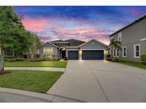 Charming single-story home featuring a stone accent entry and a two-car garage under a vibrant sunset at 6611 Current Dr, Apollo Beach, FL 33572