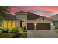 Beautiful home exterior featuring a two-car garage, landscaped front yard, and a warm, inviting facade at sunset at 1106 Tracey Ann Loop, Seffner, FL 33584