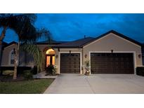 Charming home featuring a two-car garage, well-manicured lawn, and decorative palm tree at twilight at 1430 Beaconsfield Dr, Wesley Chapel, FL 33543