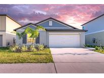 Charming single-story home featuring a well-manicured lawn and a two-car garage at 22196 Calisto Way, Land O Lakes, FL 34637