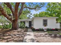 Charming single-story home featuring a well-maintained front yard with mature trees at 559 Scotland St, Dunedin, FL 34698