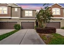 Charming townhome with a well-manicured lawn and attached garages at 5619 Tranquil Pond Pl, Riverview, FL 33578