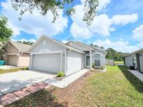 Charming home with a two-car garage, walkway, and well-maintained front lawn at 6248 Tabogi Trl, Wesley Chapel, FL 33545