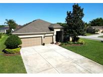 Charming single-story home featuring a well-maintained lawn and a convenient two-car garage at 13302 Trailing Moss Dr, Dade City, FL 33525