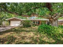 Charming single-story home featuring a large, shady tree and a well-maintained front yard at 1868 Juarez S Way, St Petersburg, FL 33712