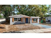 Charming single-story home with blue door and light-grey paint on a sunny day at 3020 E Louisiana Ave, Tampa, FL 33610