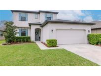Charming two-story home featuring a well-manicured lawn and a two-car garage at 8219 Summer Brook Ct, Land O Lakes, FL 34638