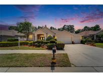 Charming single-story home with a three-car garage and manicured landscaping at 2515 Centennial Falcon Dr, Valrico, FL 33596