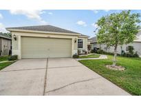 Charming single-story home with well-manicured lawn and two car garage at 5116 Gato Del Sol Cir, Wesley Chapel, FL 33544