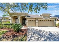 Inviting home exterior featuring a two-car garage, well-maintained landscaping, and a charming facade at 15714 Ibisridge Dr, Lithia, FL 33547