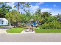 Charming home featuring a landscaped front yard, complemented by a bright blue door and vibrant green foliage at 4105 W Bay Villa Ave, Tampa, FL 33611