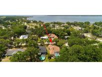 Gorgeous property with pool and desirable landscaping, trees and water views at 209 Arlington E Ave, Oldsmar, FL 34677